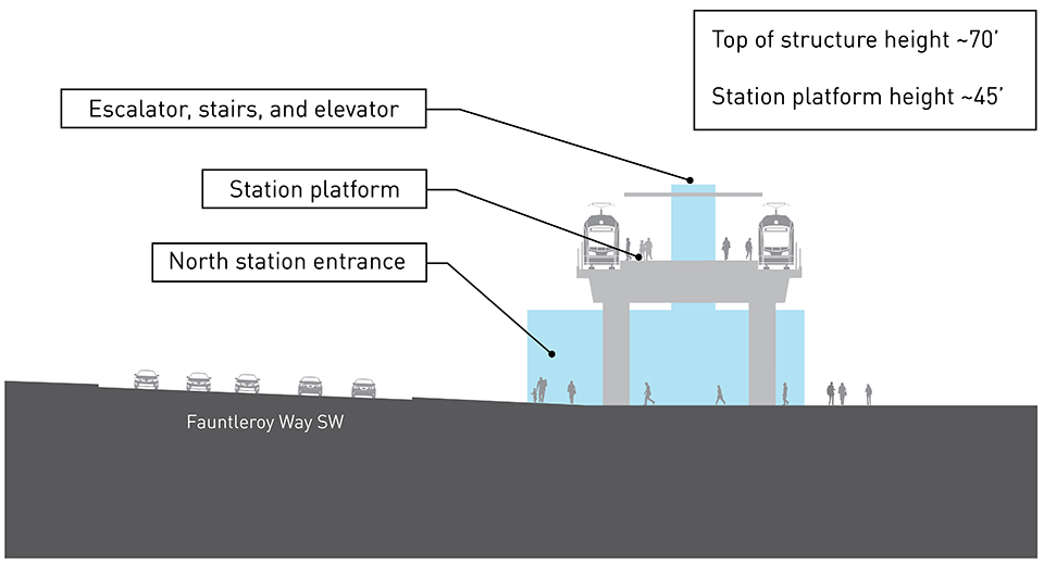 Plano con corte transversal de la plataforma de la estación elevada del tren ligero. Hay una vía y un tren en cada lado de la plataforma de la estación elevada. La entrada de la estación es adyacente a Fauntleroy Way Southwest y cuenta con elevador, escaleras eléctricas y escaleras convencionales. Está a una altura de aproximadamente 30 pies desde el suelo hasta la plataforma. La estructura del elevador se extiende por encima de la plataforma y está aproximadamente a 60 pies del suelo hasta la parte superior de la estructura.